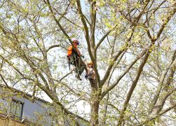 Ein Hoelzernes Erlebnis In Jena Zog Tausende Besucher 40